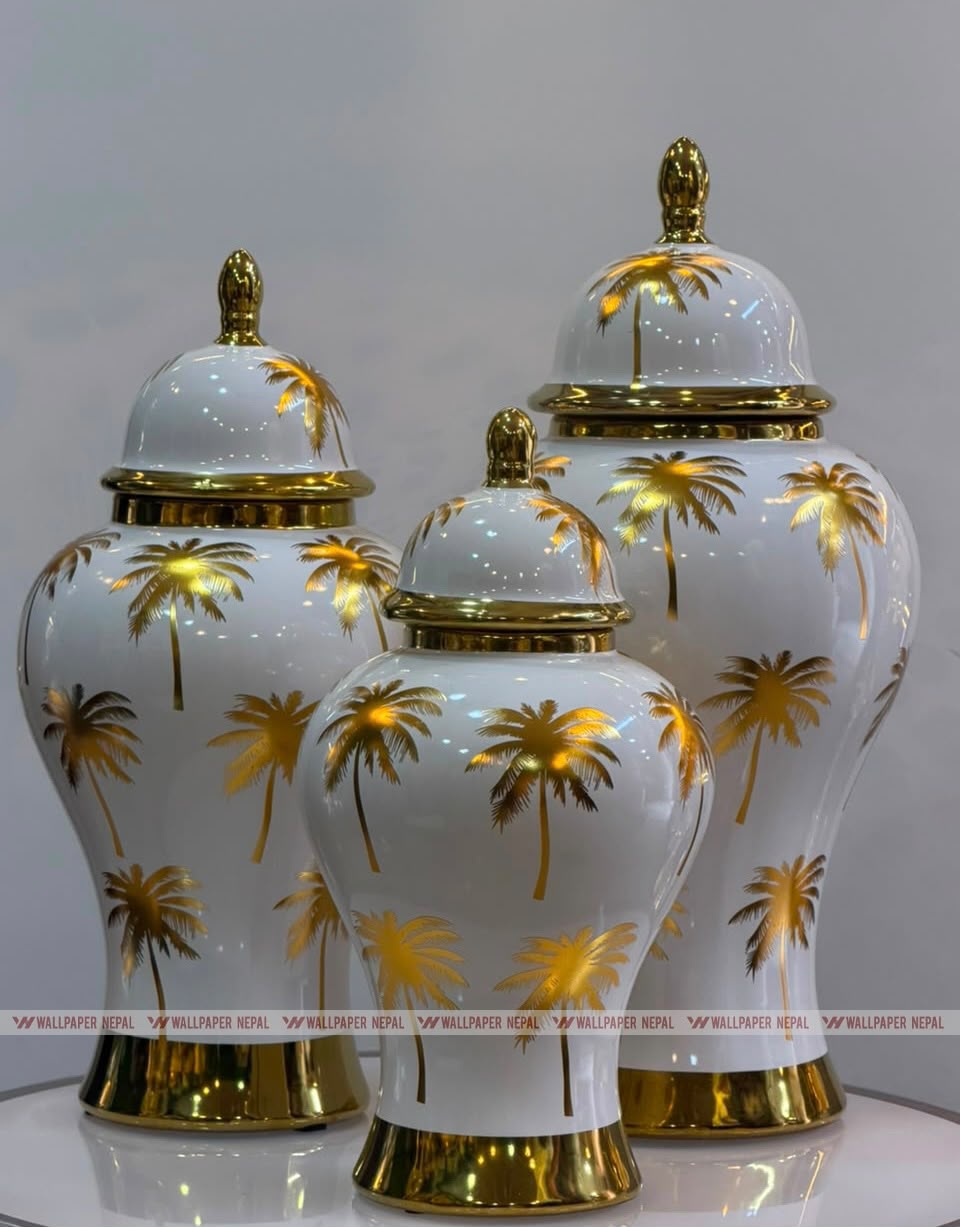 White Ceramic-Resin Ginger Jar Set-White Ceramic-Resin Ginger Jar Set WhatsApp Image 2026-09-11 at 2