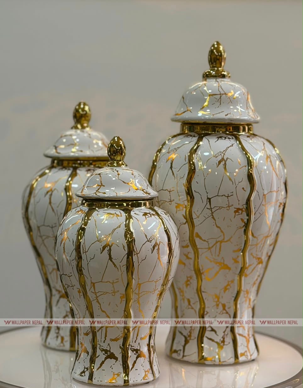 White Ceramic-Resin Ginger Jar Set-White Ceramic-Resin Ginger Jar Set WhatsApp Image 2026-09-11 at 2