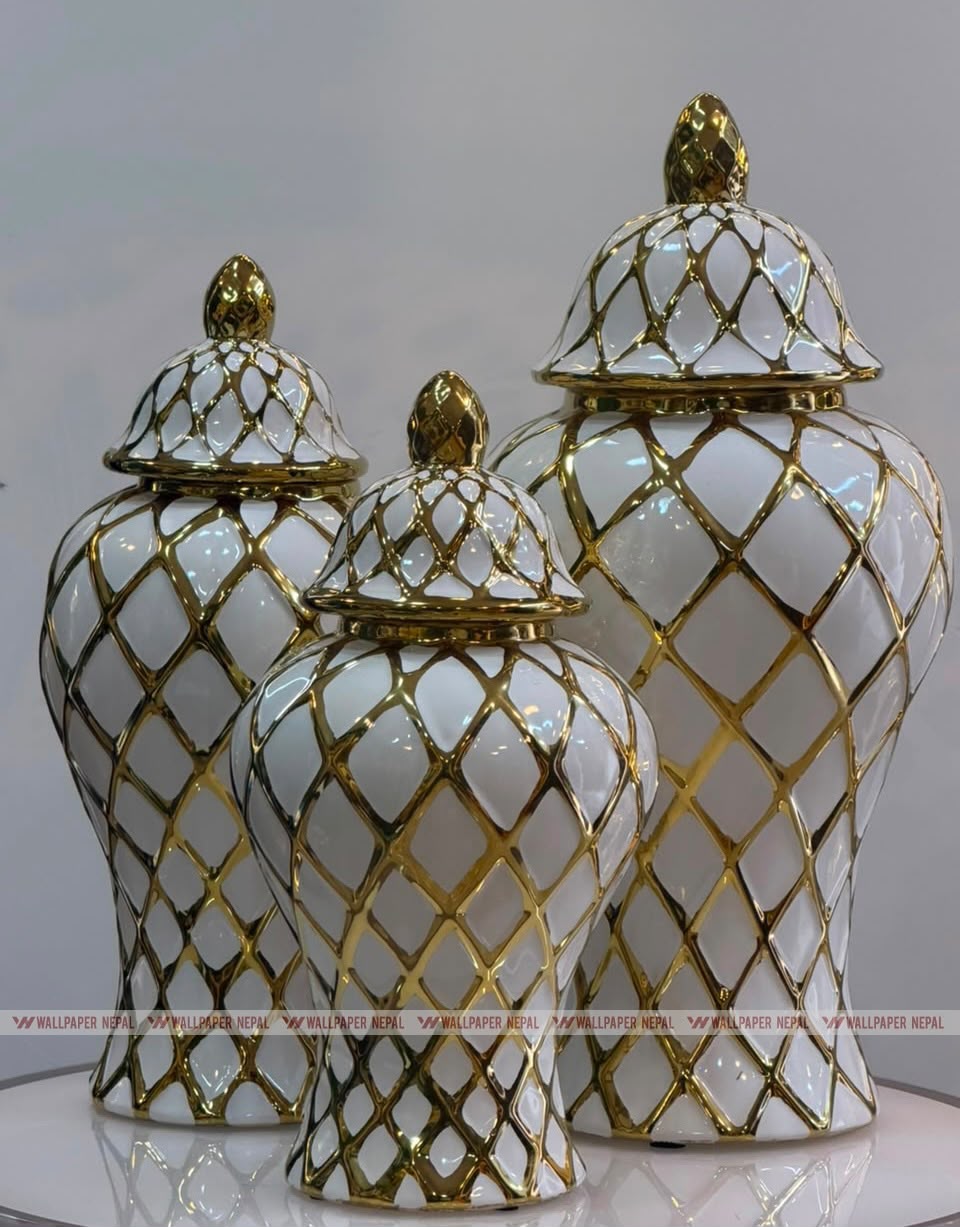 White Ceramic-Resin Ginger Jar Set-White Ceramic-Resin Ginger Jar Set WhatsApp Image 2026-09-11 at 2